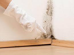 Best Mold Prevention Services  in Wildwood Lake, TN